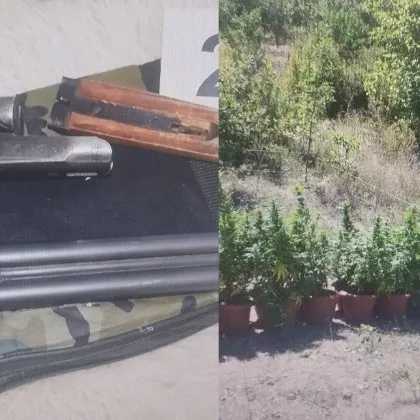 Служители от РУ Пещера иззеха растения канабис незаконно притежавани оръжие