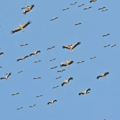Дойде краят на метеорологичното лято Чакайки да дойде и астронимическата есен