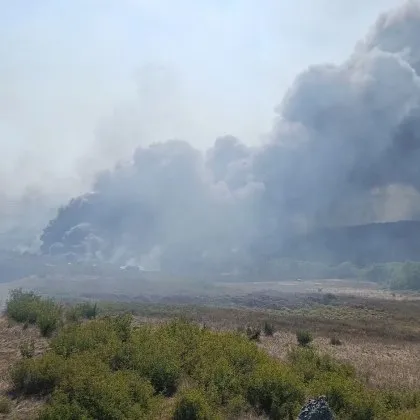 Голям пожар е избухнал този следобед край Бургас научи GlasNews Пламъците