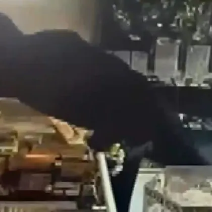 Младежите обрали магазин за бижута в Дупница остават за постоянно