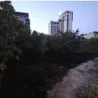 Пожар горя в пловдивски парк СНИМКИ