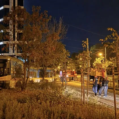 Пореден инцидент с трамвай в София в последните дни Превозното средство