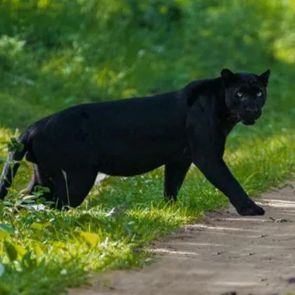 Вече повече от два месеца в различни части на страната