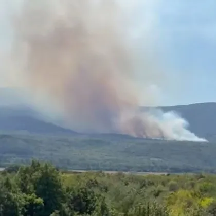 Пожар гори в землището на селата Мазарачево Драговищица и Ломница
