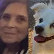 Щастлив край на историята с изчезналата жена и кученце в София