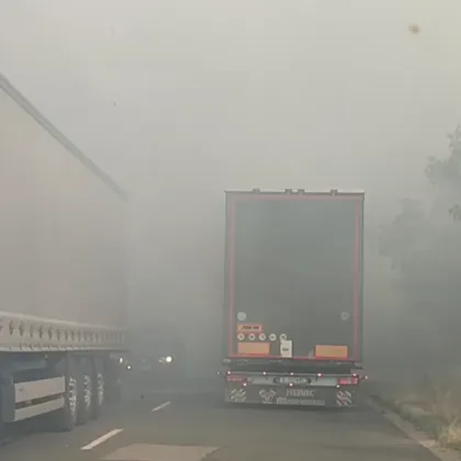 Голям пожар бушува на главен път I 1 Е 79 в района