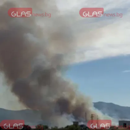 Голям пожар избухна в района под Пречиствателната станция за отпадни