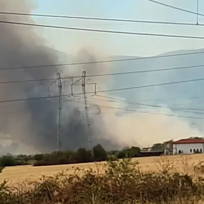 Голям пожар избухна в района под Пречиствателната станция за отпадни