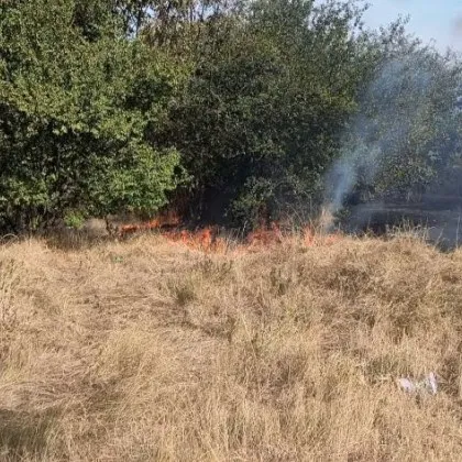 Сухи треви и храсти са се запалили около столичната зала