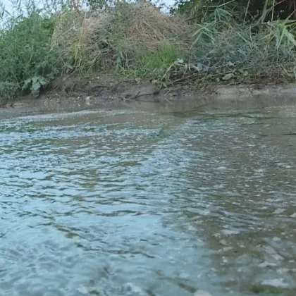 Запушена тръба за подпочвени води от години създава проблеми на