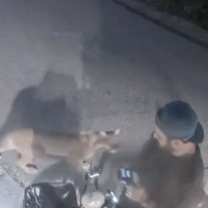 Мъж къмпингуващ в Малибу американският щат Калифорния по рано този месец