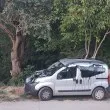 Нападнаха дома и колата на екоактивистка СНИМКИ