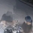 Засечка: Пума мина на сантиментри от турист ВИДЕО