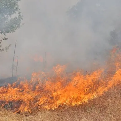 Пожарът който избухна днес на територията на Сакар планина между селата