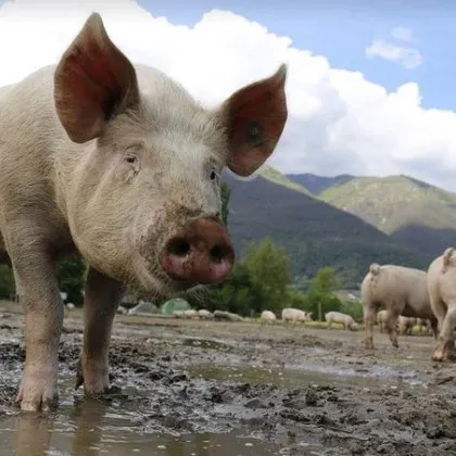 Загуби между 1 5 и 5 млрд лв се очакват в