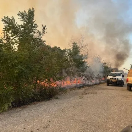 Бързо се разраства огънят който избухна днес в Сакар планина