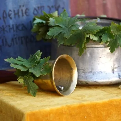 Само след 6 дни малки и големи ученици ще прекрачат