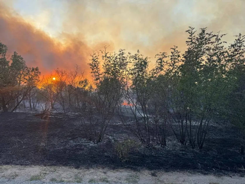 Община Свиленград обяви частично бедствено положение СНИМКИ