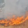 1000 декара е обхванал пожарът в Хасковско, ВИДЕО показва изгорялото