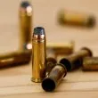 16-годишен уби двама полицаи