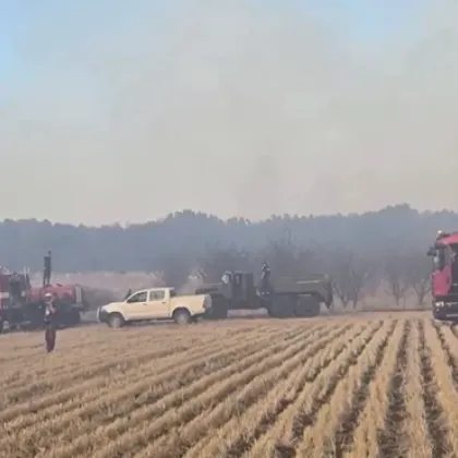 Пожарът на територията на Сакар между селата Младиново Лисово и