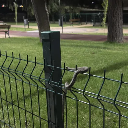 Жител на Самоков предупреди съгражданите си да бъдат внимателни при