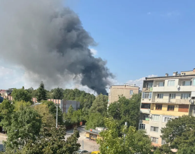 Пожар гори в София СНИМКИ