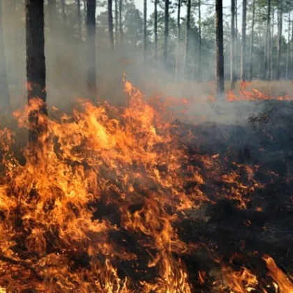 Голям пожар в Рила този път в района на Природен