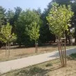 „Аз съм Левски, ти кой си?" – надеждата, която се ражда в детски гласове