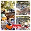 Пловдив откри нова туристическа атракция: сафари с мишки и мухи ВИДЕО
