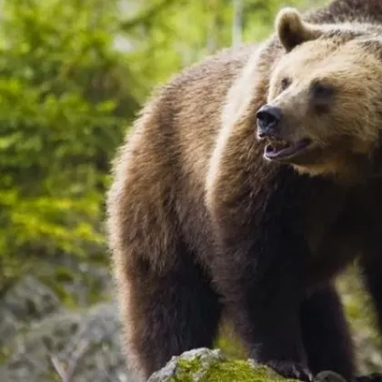 Семейство от Севлиевско е било евакуирано от дома си след