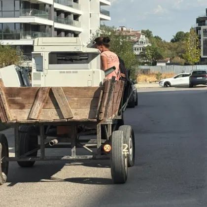 Необичайна гледка в София разсмя и озадачи столичани – каруца