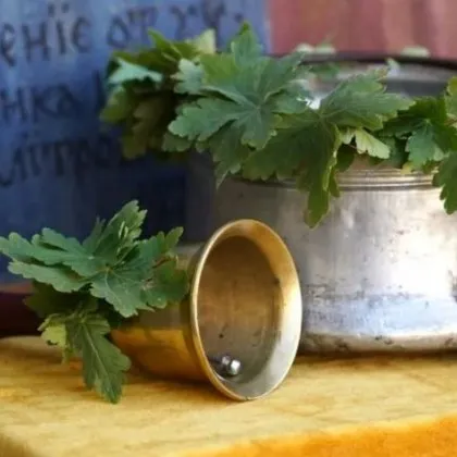 През почивните дни максималните температури в страната ще бъдат предимно