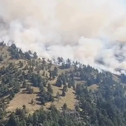 Около 600 дка е обхванал пожарът в Рила планина над