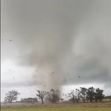 На 10 септември 2025 г Регионът на Нов Южен Уелс