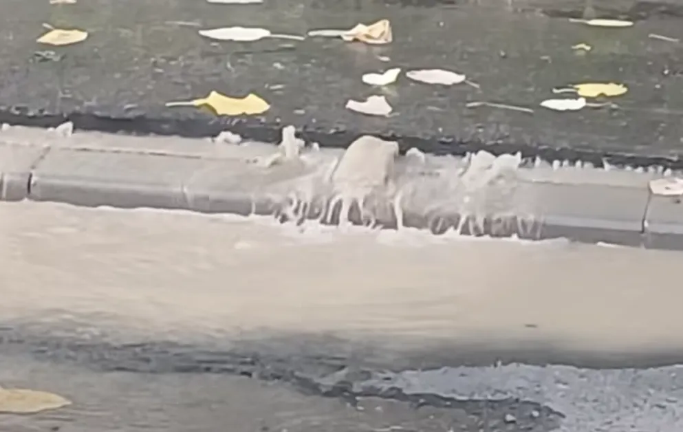 Даже и асфалтът проплака ВИДЕО