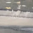 Даже и асфалтът проплака ВИДЕО