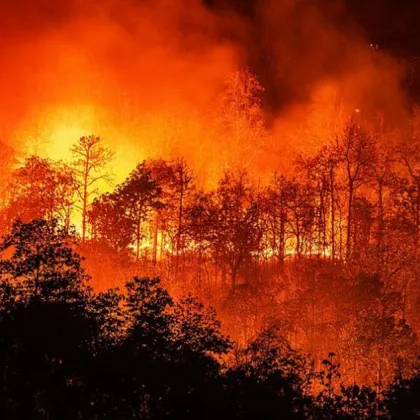 Пожарът в Рила над Илийна река е увеличил площта си