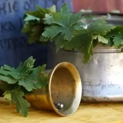 Утрото на 15 септември първият учебен ден идва със значителна