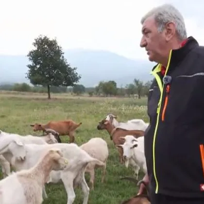 Може ли един бивш телевизионен продуцент да смени прожекторите със