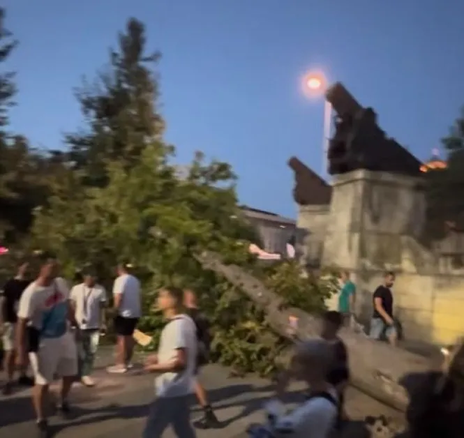 Огромно дърво рухна върху кола, жена се размина на косъм ВИДЕО
