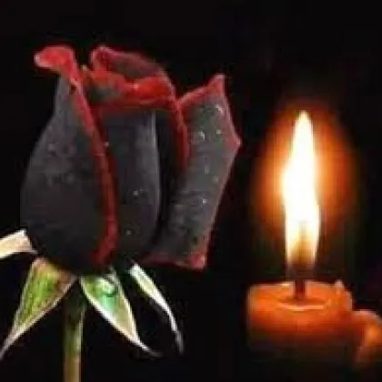 Известният носител на Оскар и сценограф Джани Куаранта е починал