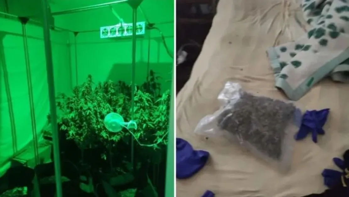 Задържаха сина на известна прокурорка с голямо количество марихуана