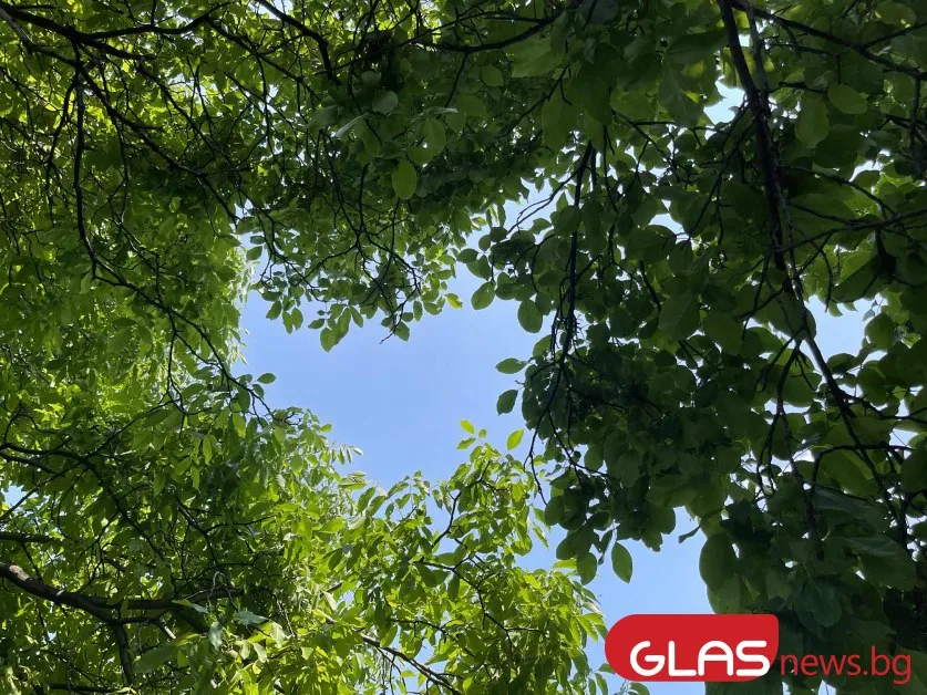 Нахлува студен въздух, температурите падат