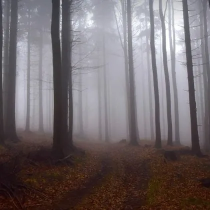 Следващия понеделник 22 септември в 21 19 ч българско време настъпва