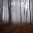 Есента настъпва до дни! Ето кога "въртим" стрелките на часавници