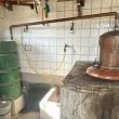 Намаляват до 30 литра производството на домашна ракия