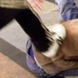 Жесток побой край блок в столицата!