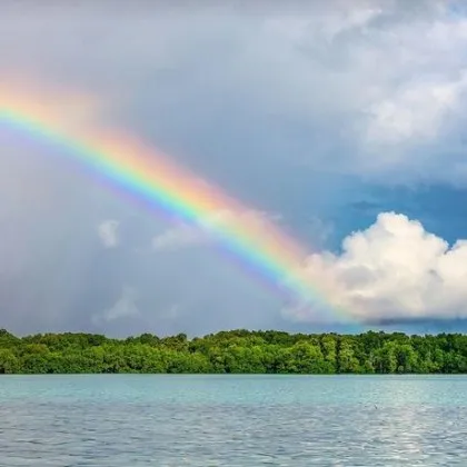 Парламентът прие на второ четене промени в Закона за ограничаване