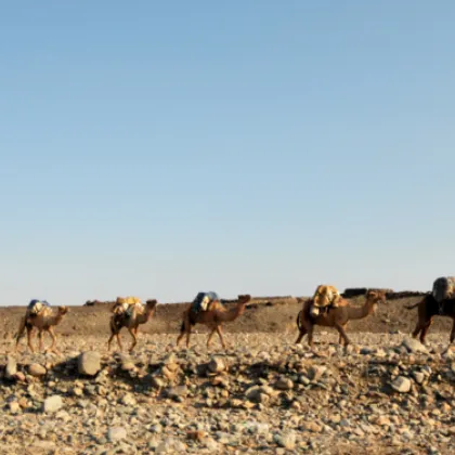 В селския район Курти разположен в Илийски район на Алматинската